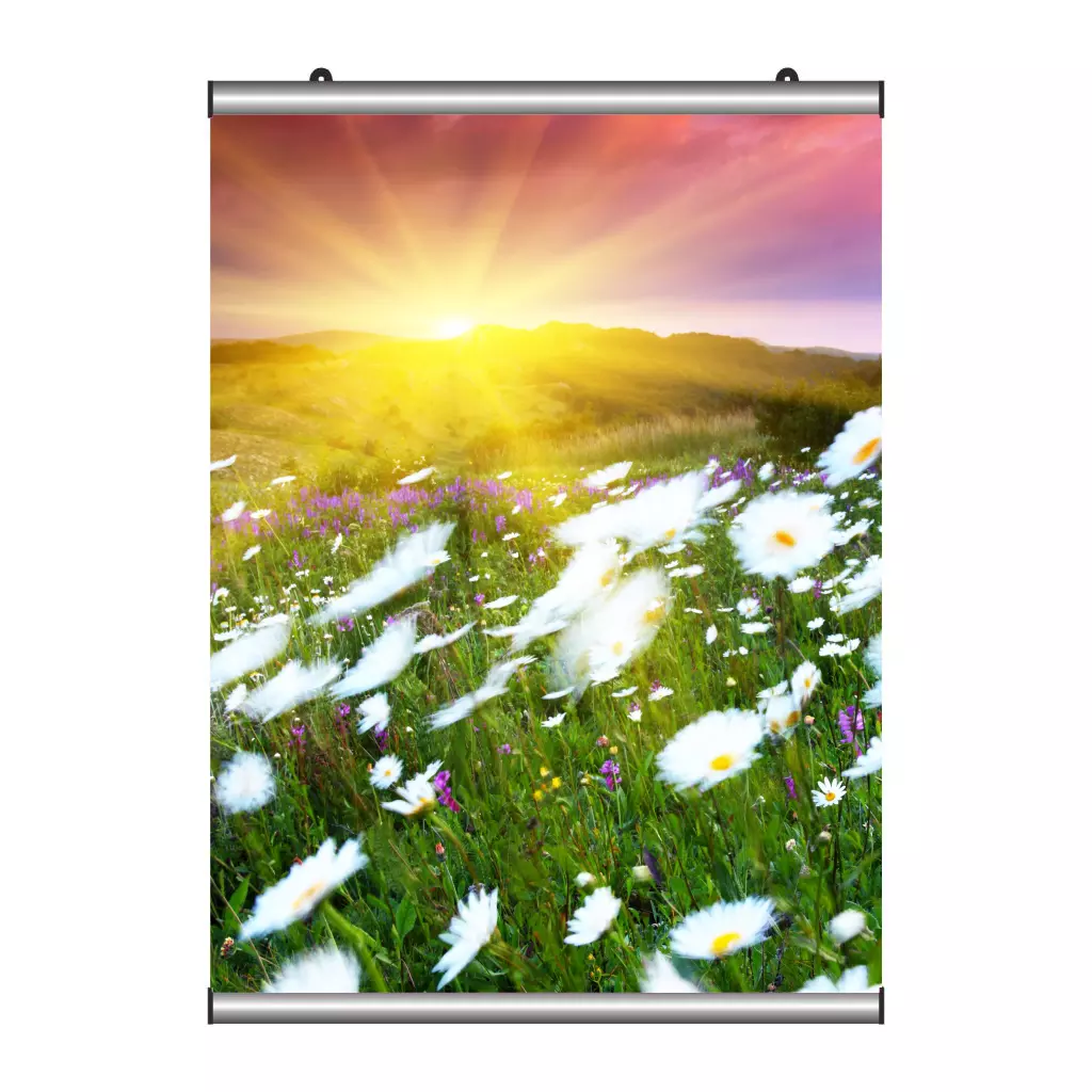 Poster Tutucu 100 cm