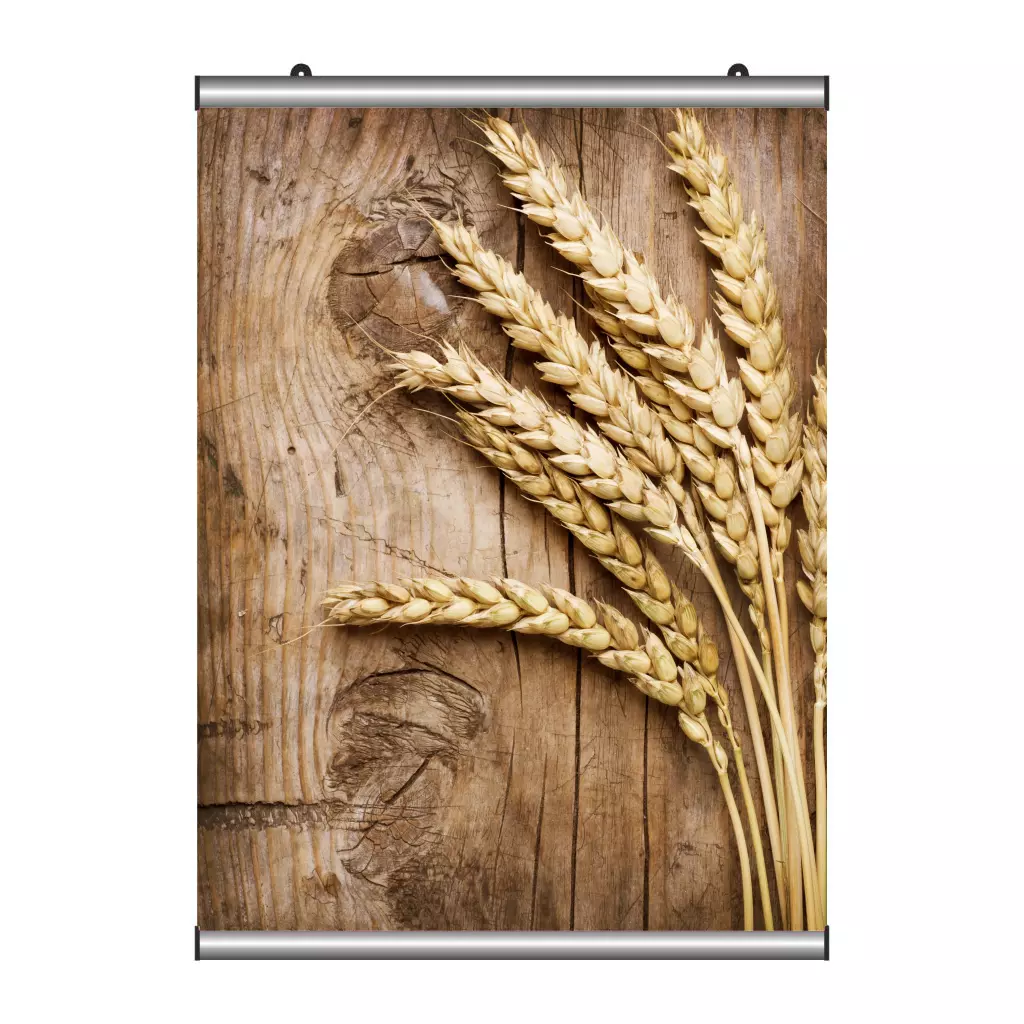 Poster Tutucu 30 cm