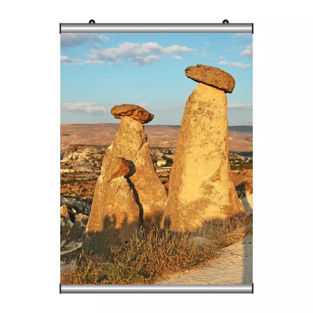 Poster Tutucu 42 cm