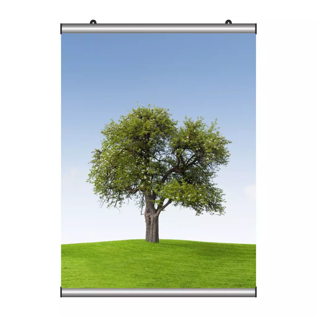 Poster Tutucu 60 cm